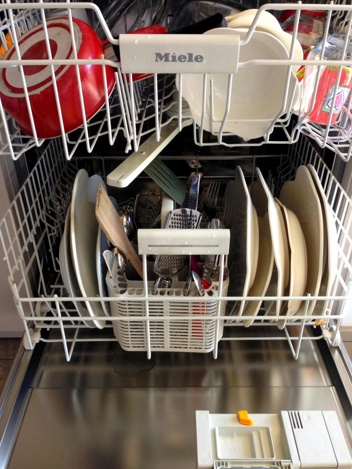 Dishwasher Repair