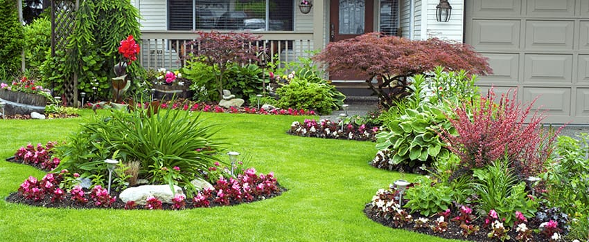 Landscaping
